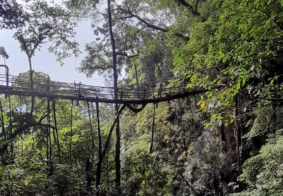 Double Decker Living Root Bridge